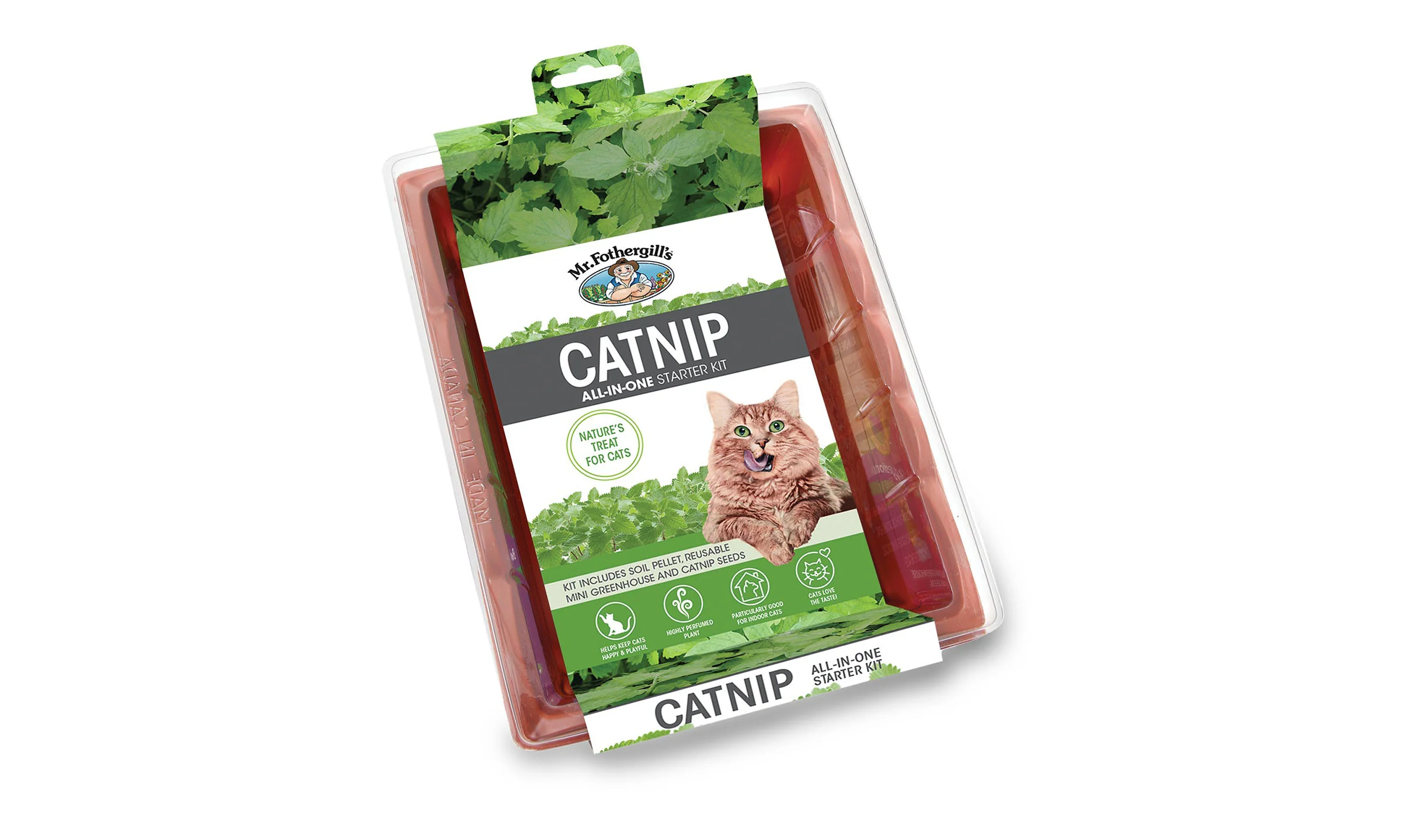 Catnip Grow Kit