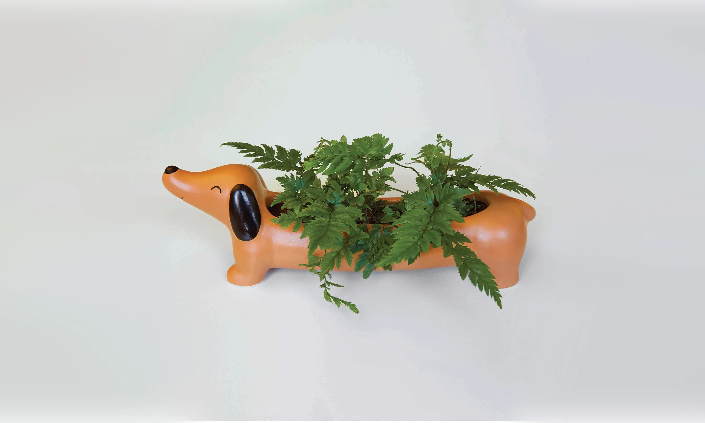 Daisy The Dachshund Planter