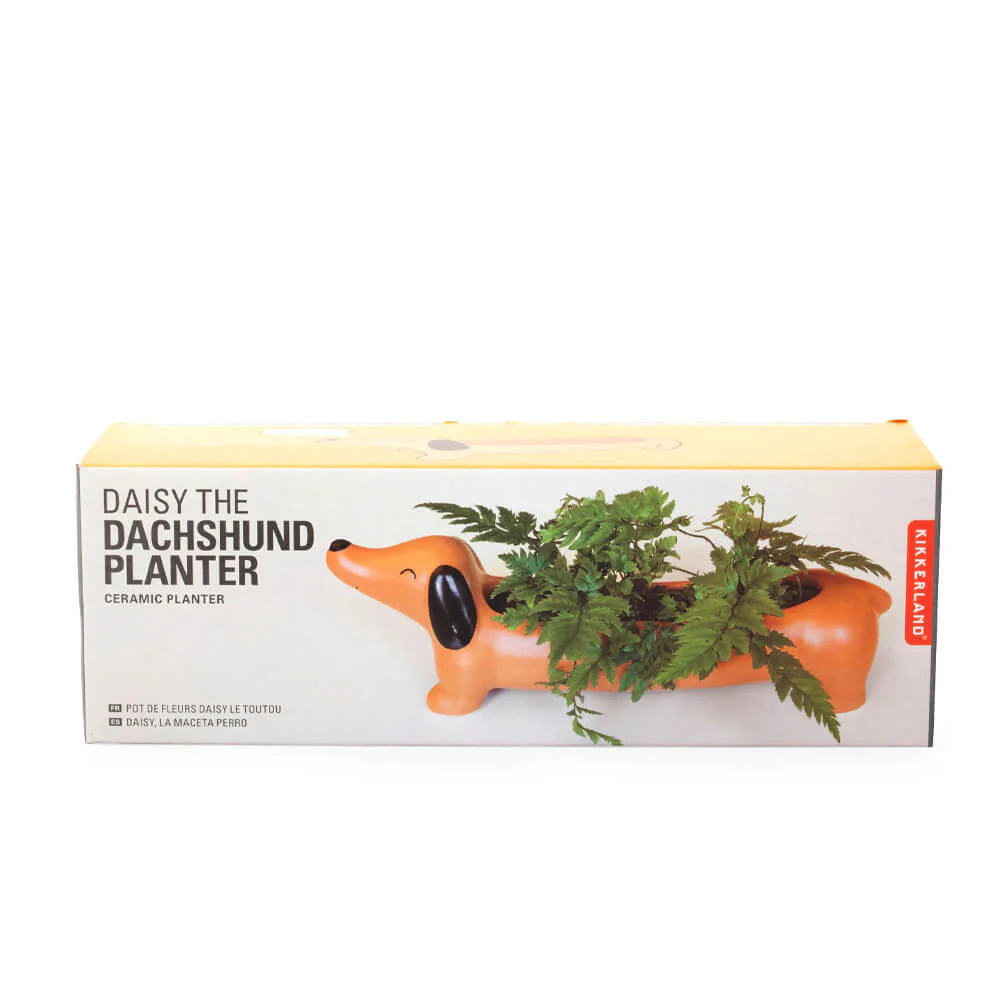 Daisy The Dachshund Planter - Image 2