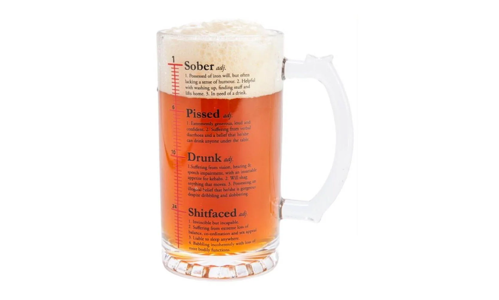 Drinktionary Beer Stein