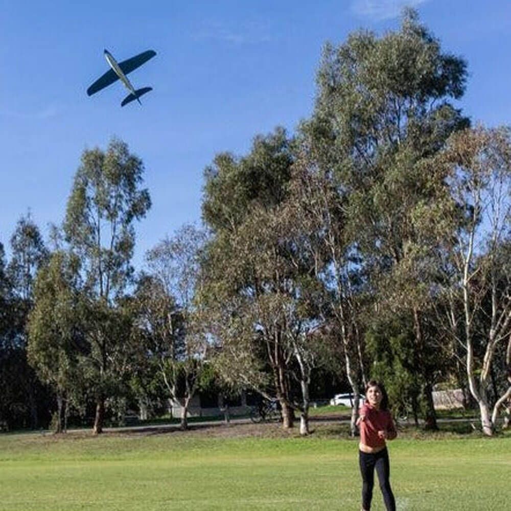 Epic Shark Glider - Image 4