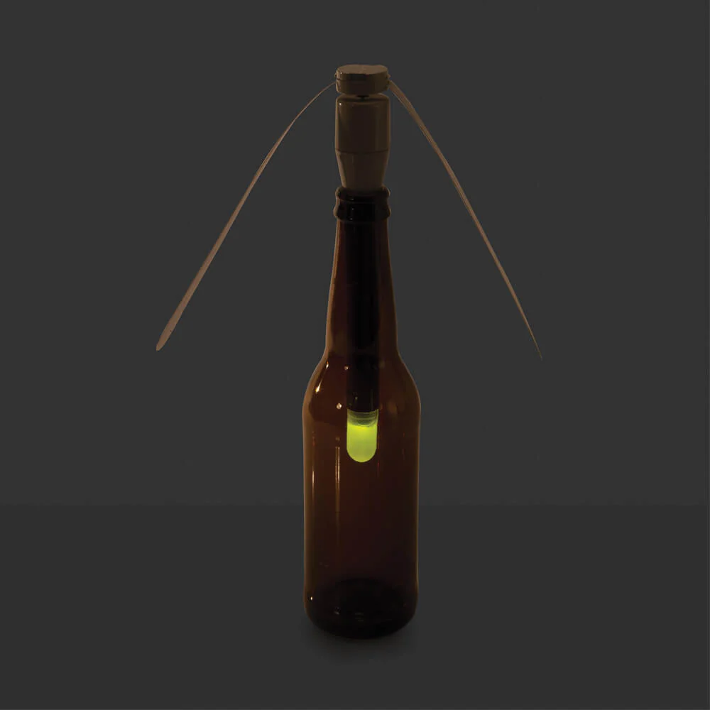 Fly Away & Torch Light - Image 3