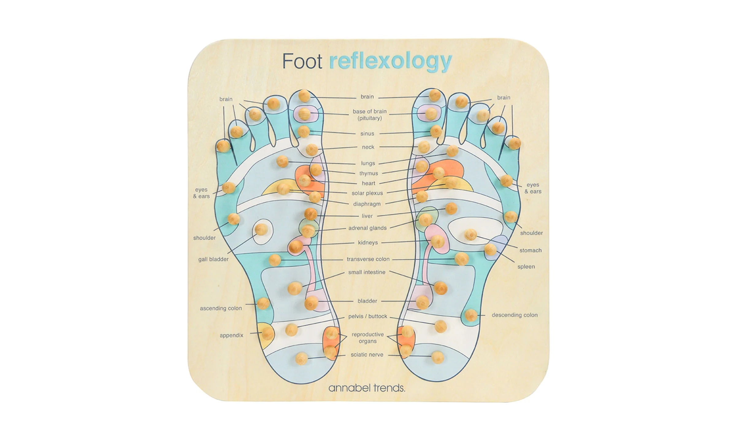Foot Reflexology Board
