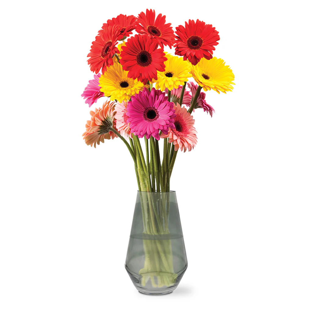 Glass Propagation Grow Vase - Image 2