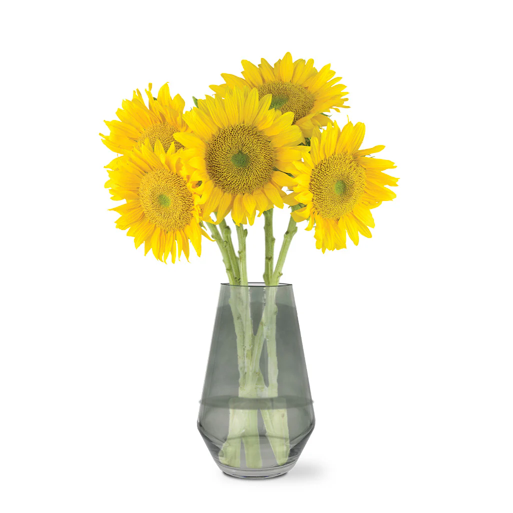 Glass Propagation Grow Vase - Image 4