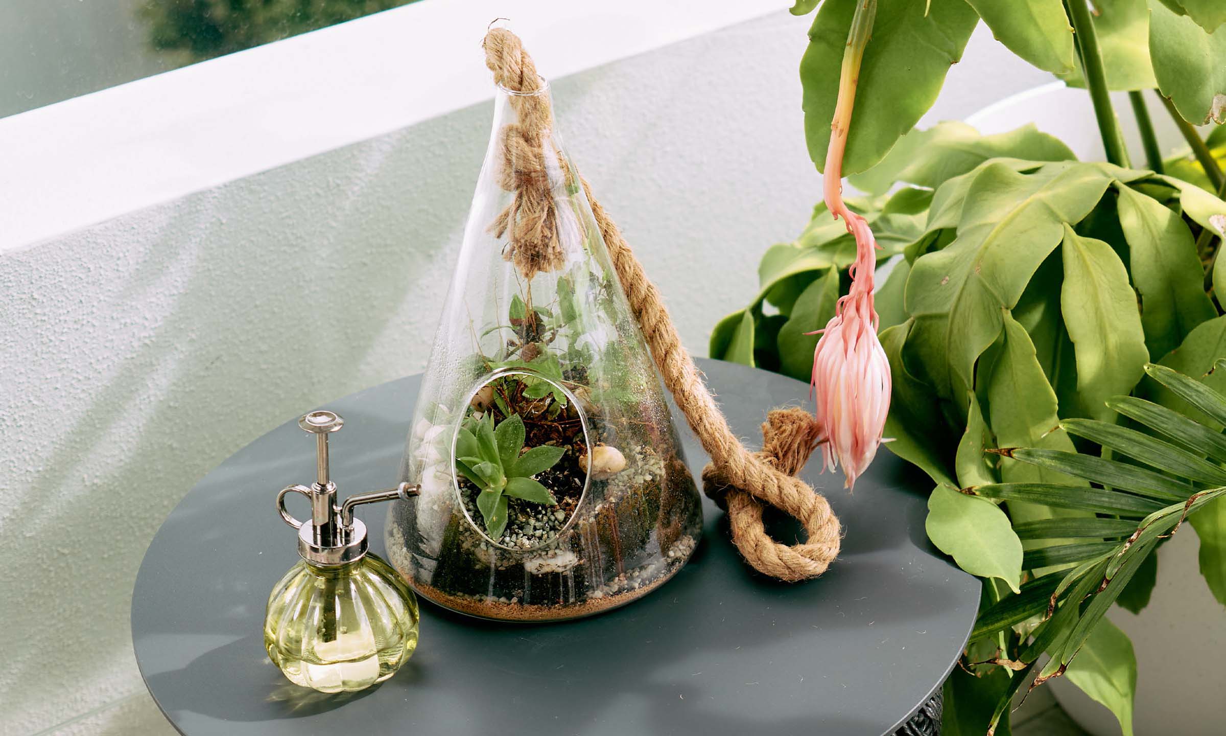 Hanging Plant Terrarium