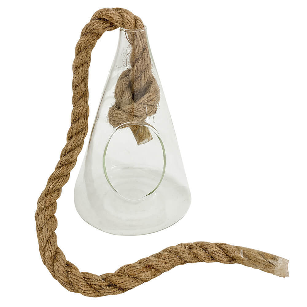 Hanging Plant Terrarium - Image 4