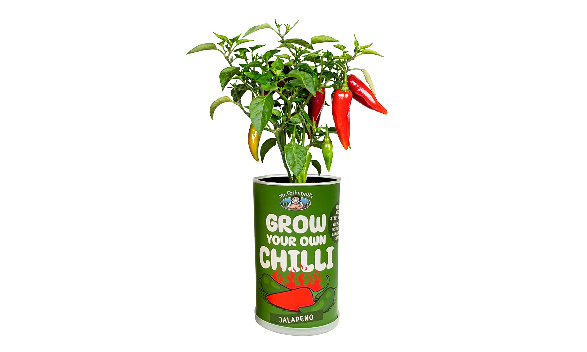 Jalapeno Chilli Grow Kit