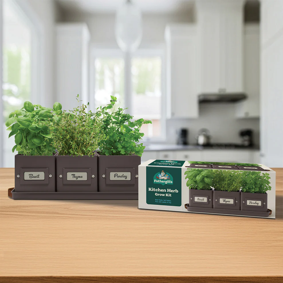Kitchen Herbs Grow Kit - Image 2