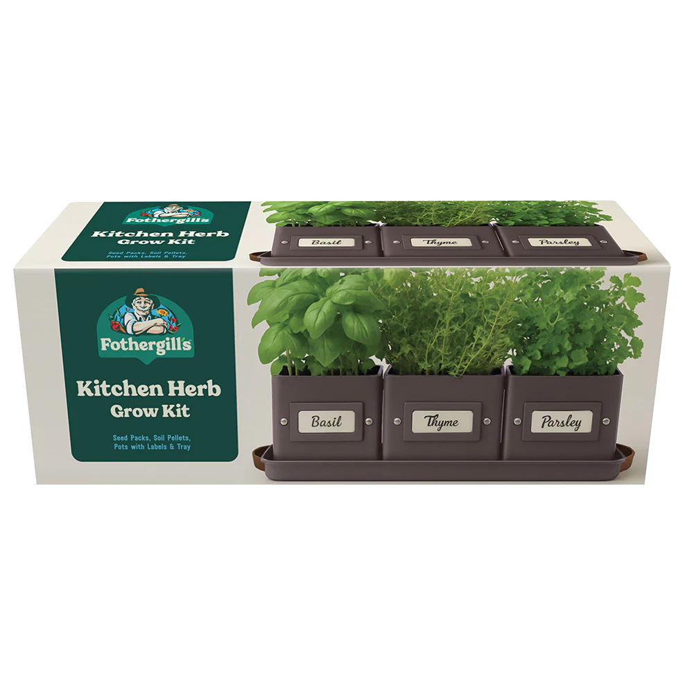 Kitchen Herbs Grow Kit - Image 5