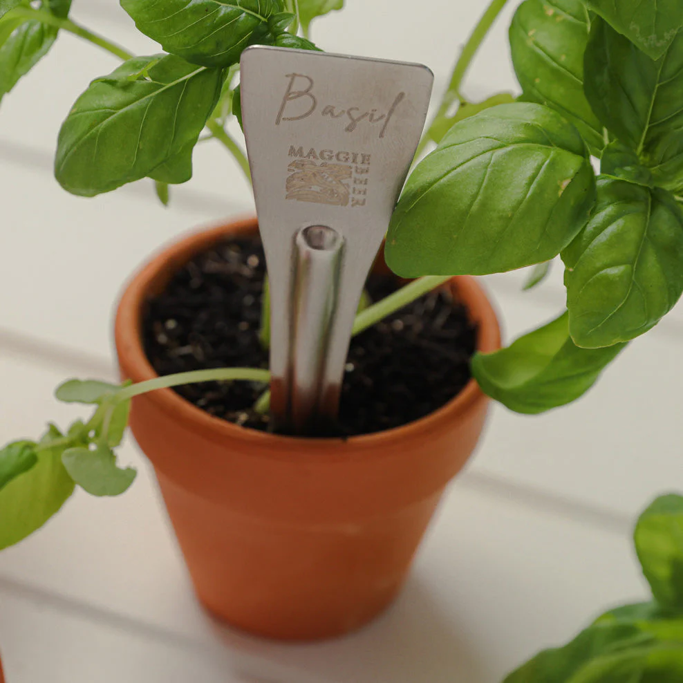 Maggie Beer Herb Stakes - Image 3