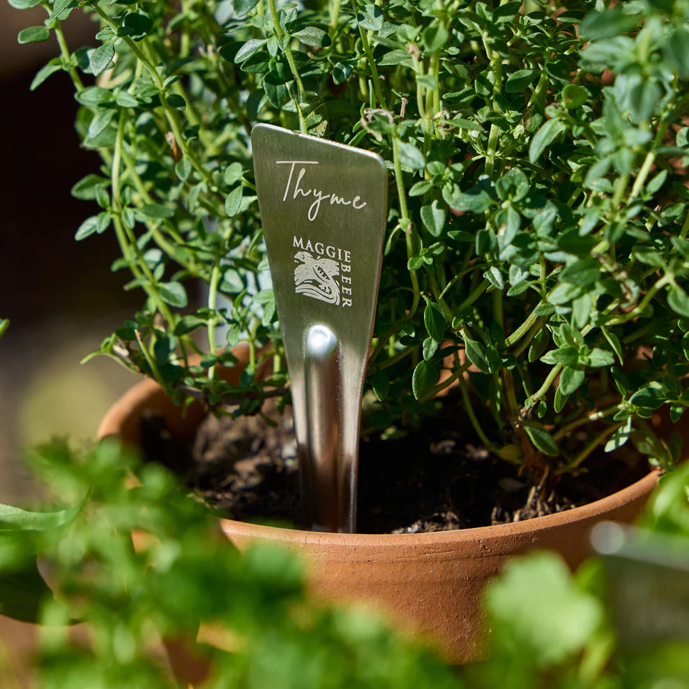 Maggie Beer Herb Stakes - Image 5