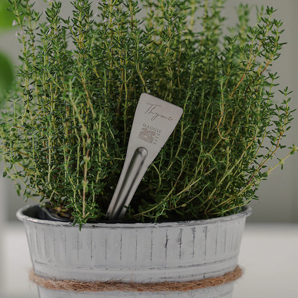 Maggie Beer Herb Stakes - Image 6