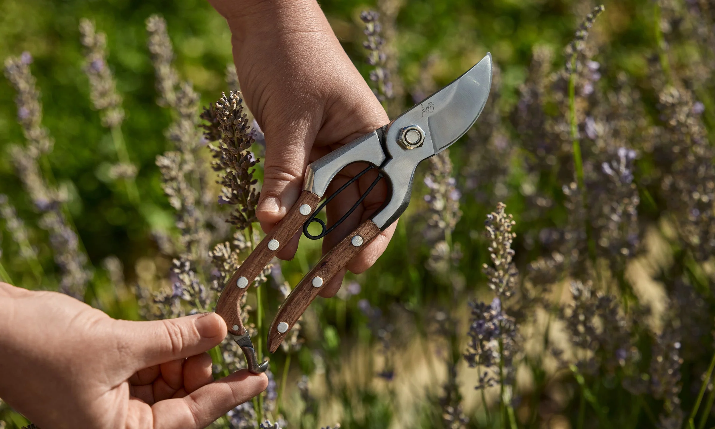 Maggie Beer Pruning Secateurs 200mm