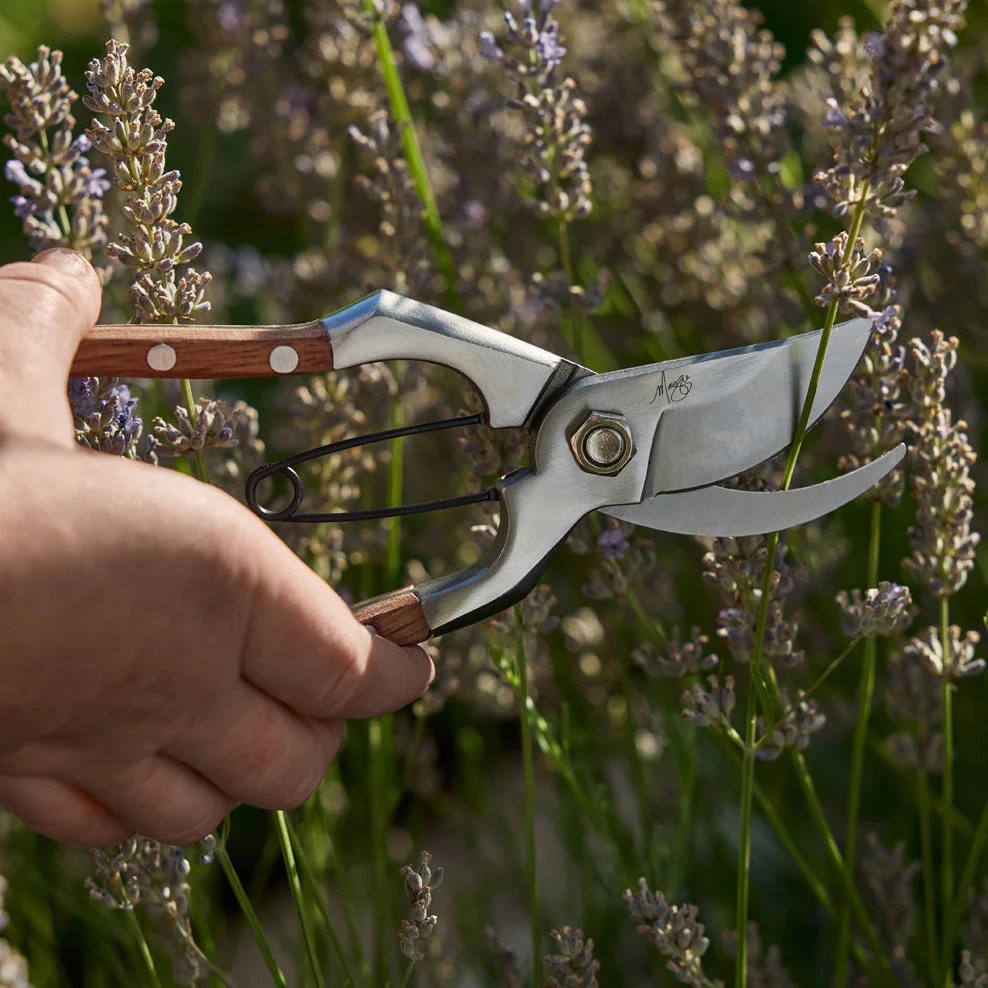 Maggie Beer Pruning Secateurs 200mm - Image 2