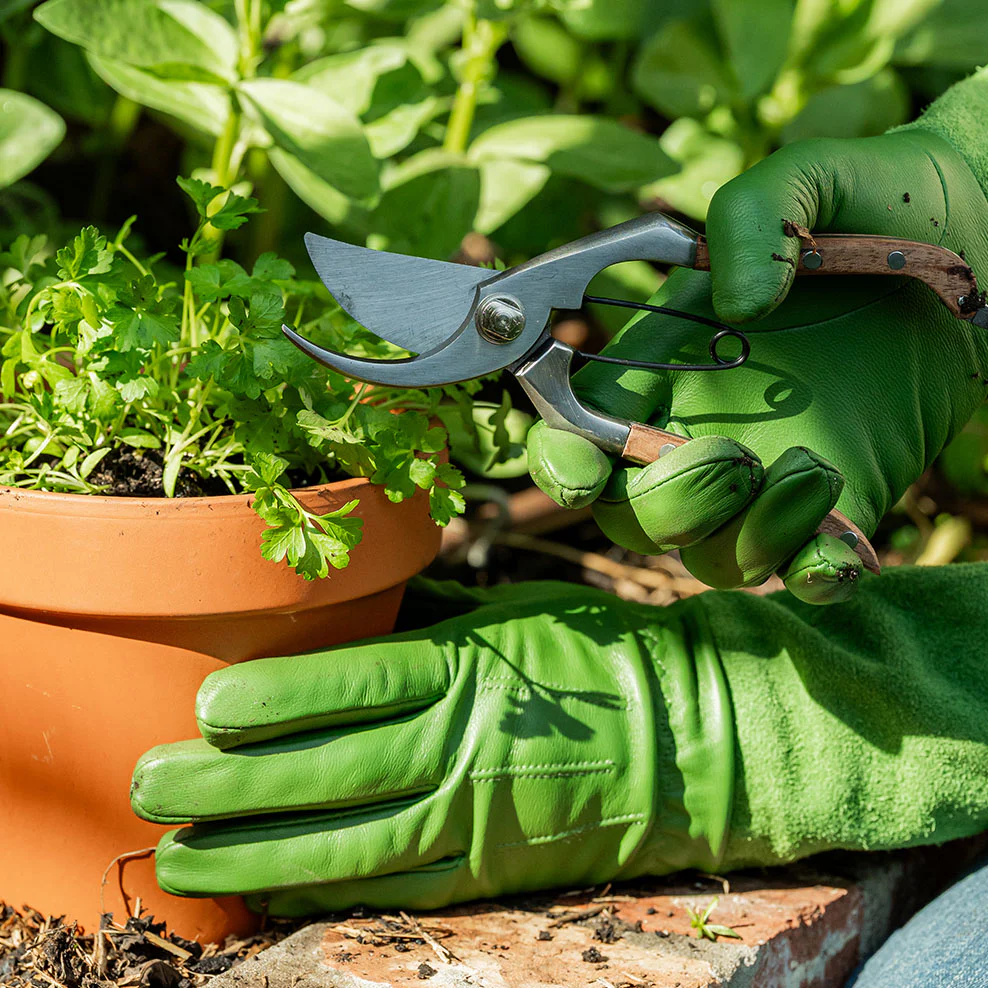 Maggie Beer Pruning Secateurs 200mm - Image 3
