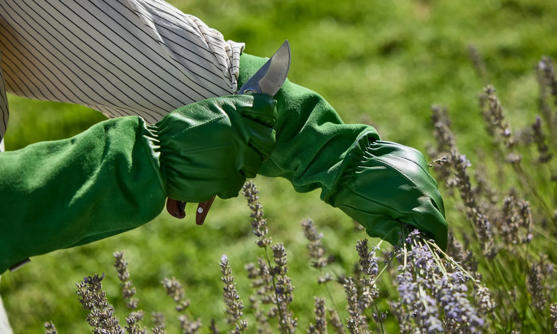 Maggie Living Leather Gardening Gloves