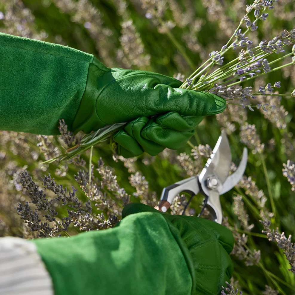 Maggie Living Leather Gardening Gloves - Image 5