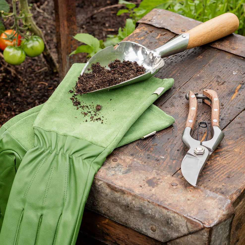 Maggie's Essential Gardening Kit - Image 7