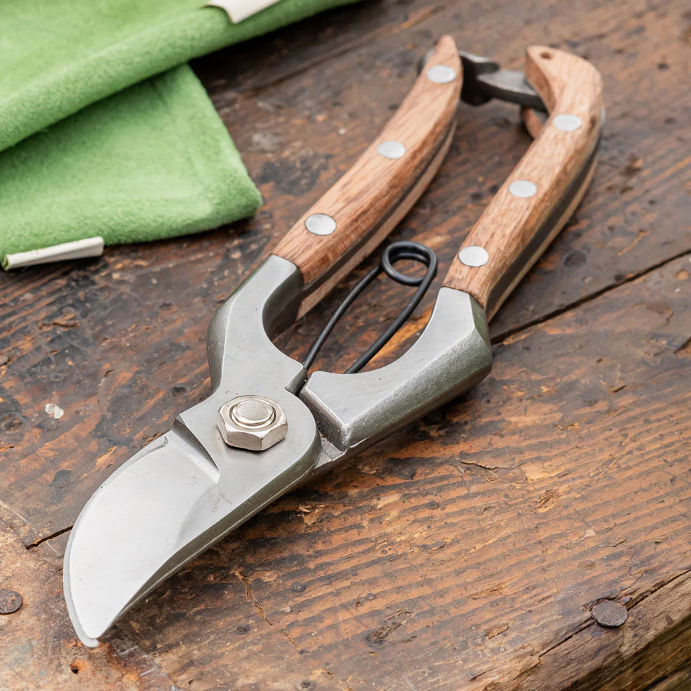 Maggie's Essential Gardening Kit - Image 8