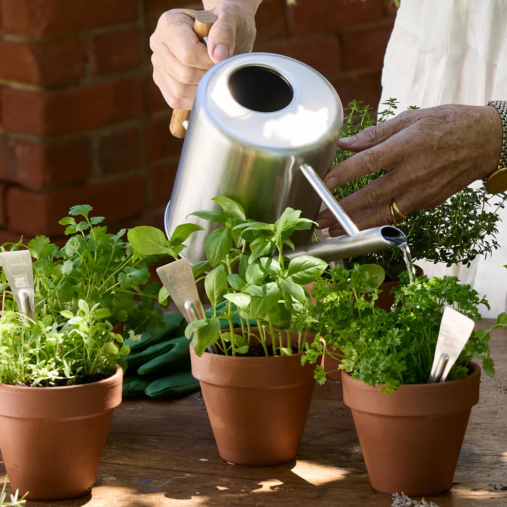 Maggie's Herb Garden Made Easy - Image 2