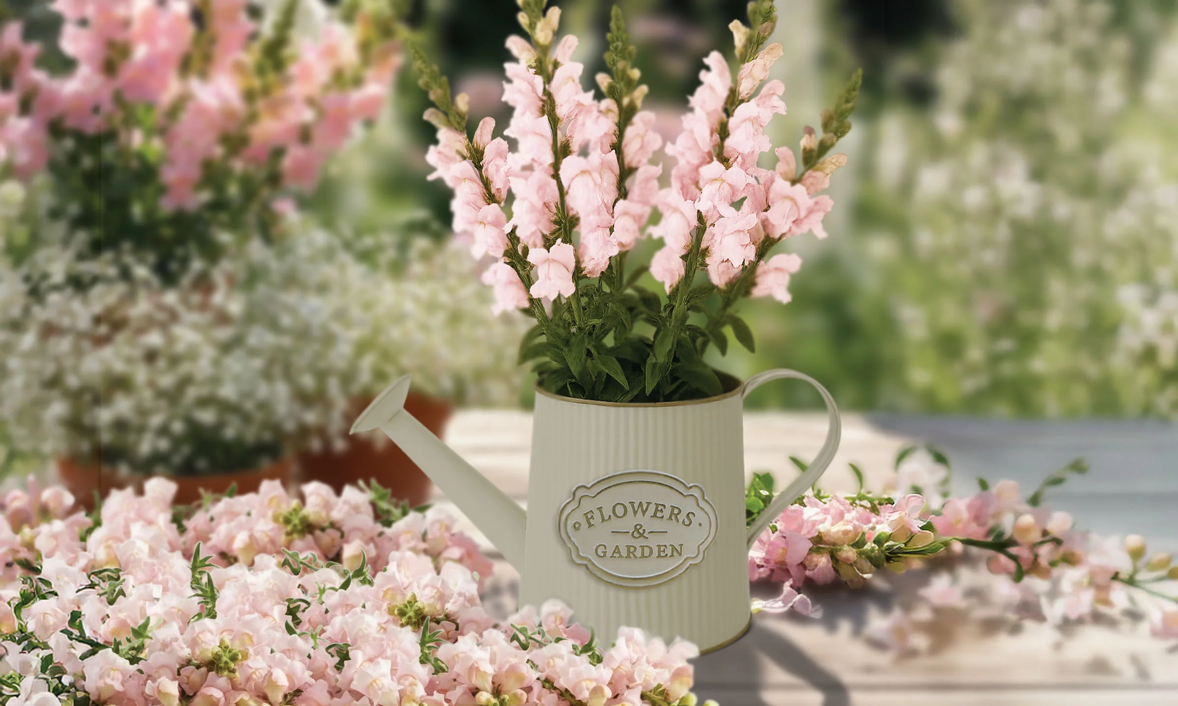 Pink Snapdragon Watering Can Grow Kit