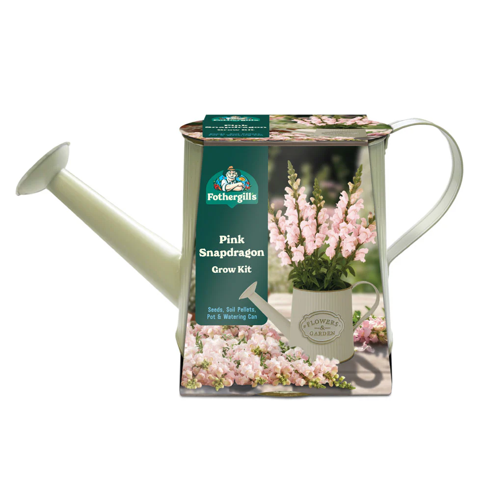 Pink Snapdragon Watering Can Grow Kit - Image 4