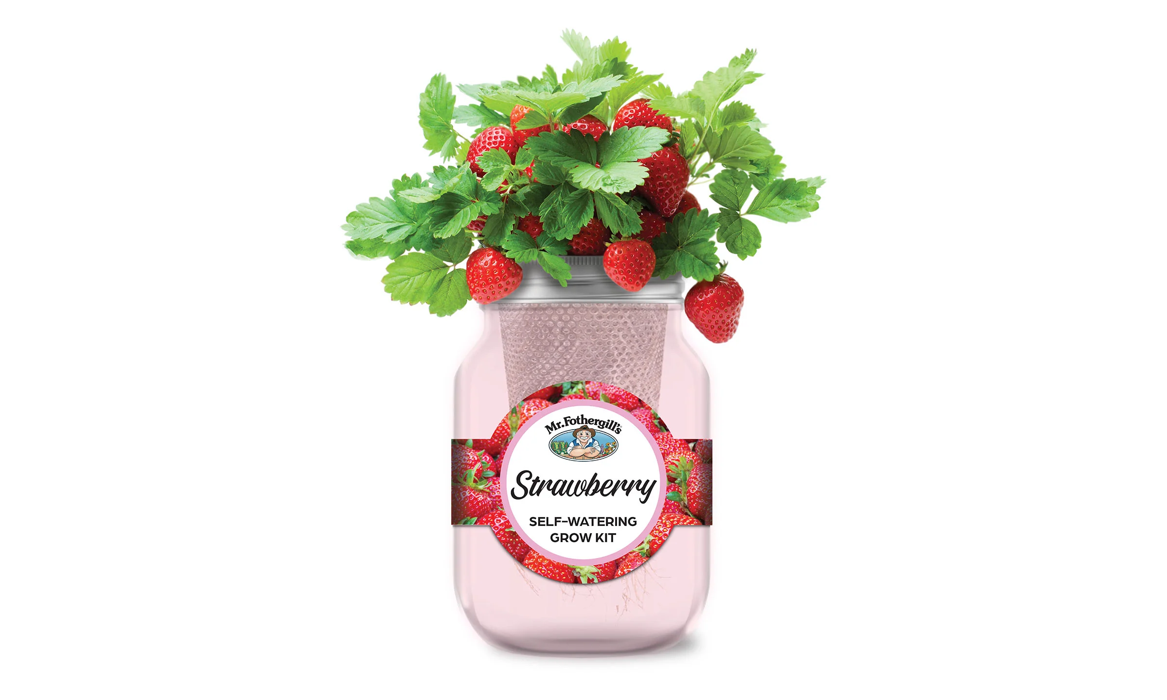 Strawberry Self-Watering Grow Kit