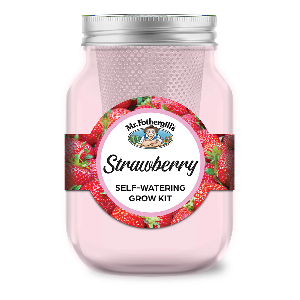 Strawberry Self-Watering Grow Kit - Image 2