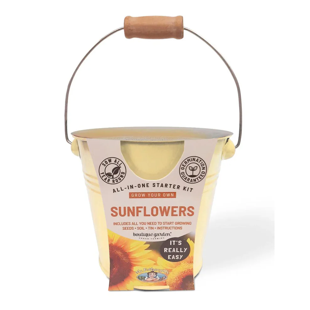 Sunflower Grow Kit - Image 2