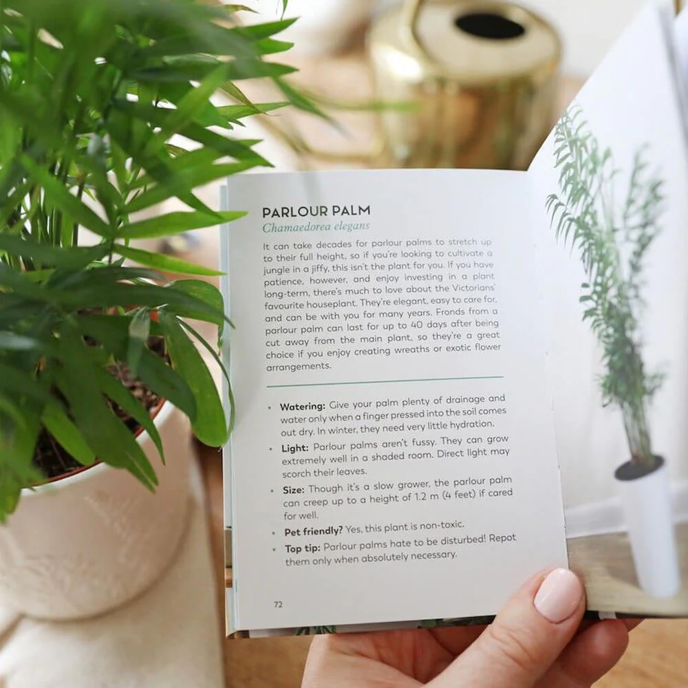 The Little Book for Plant Parents - Image 4