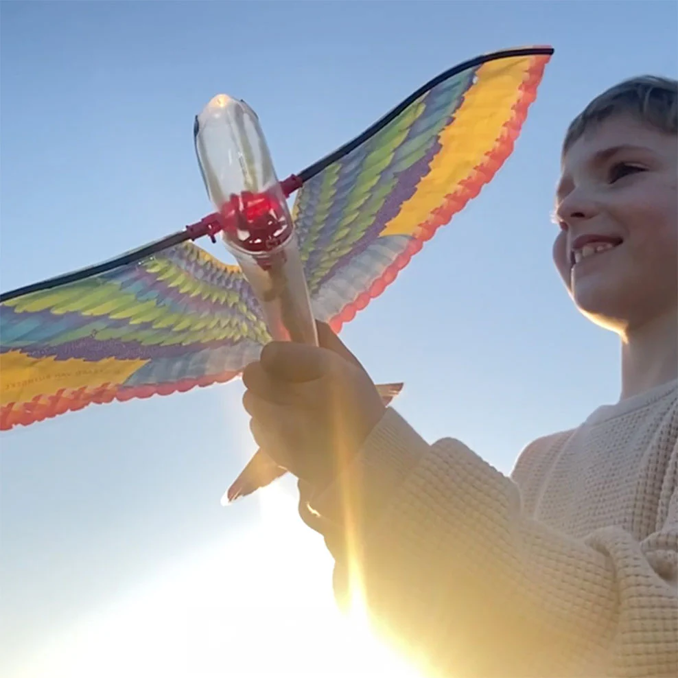 The Original Flying Bird - Image 2