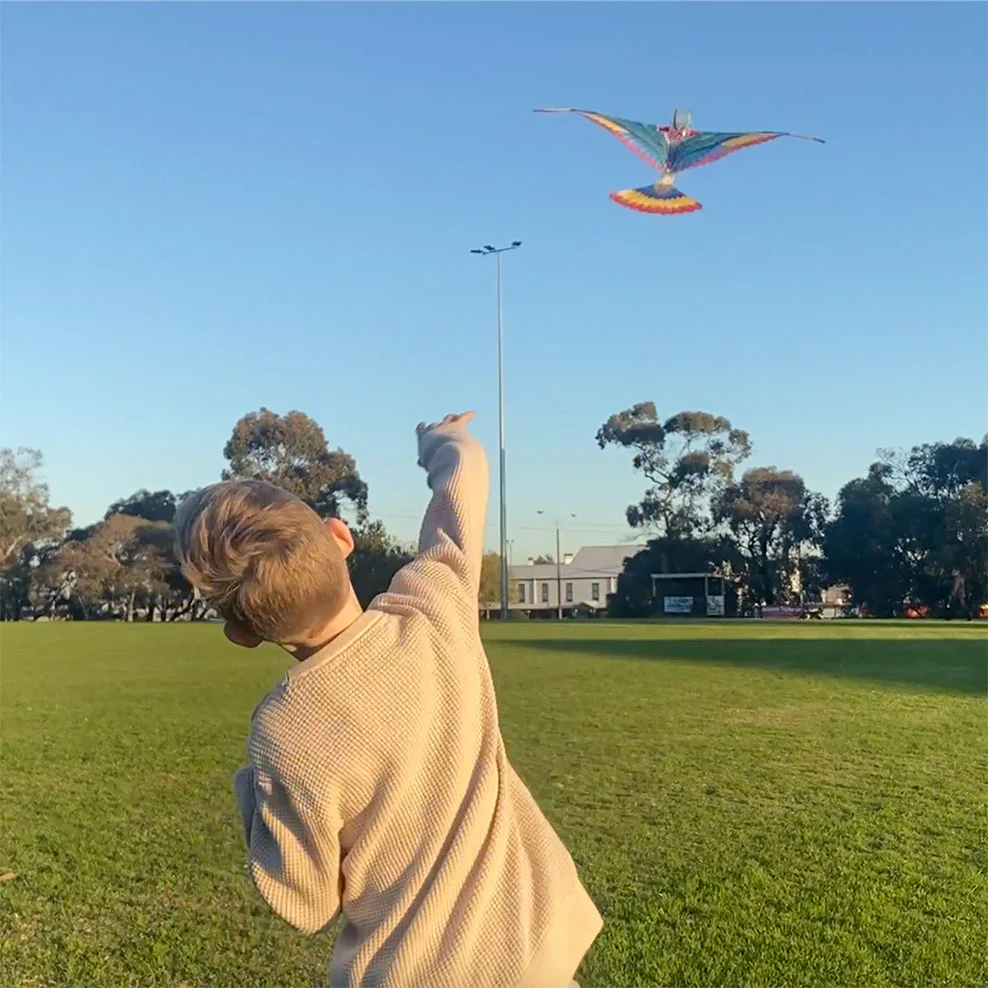 The Original Flying Bird - Image 4