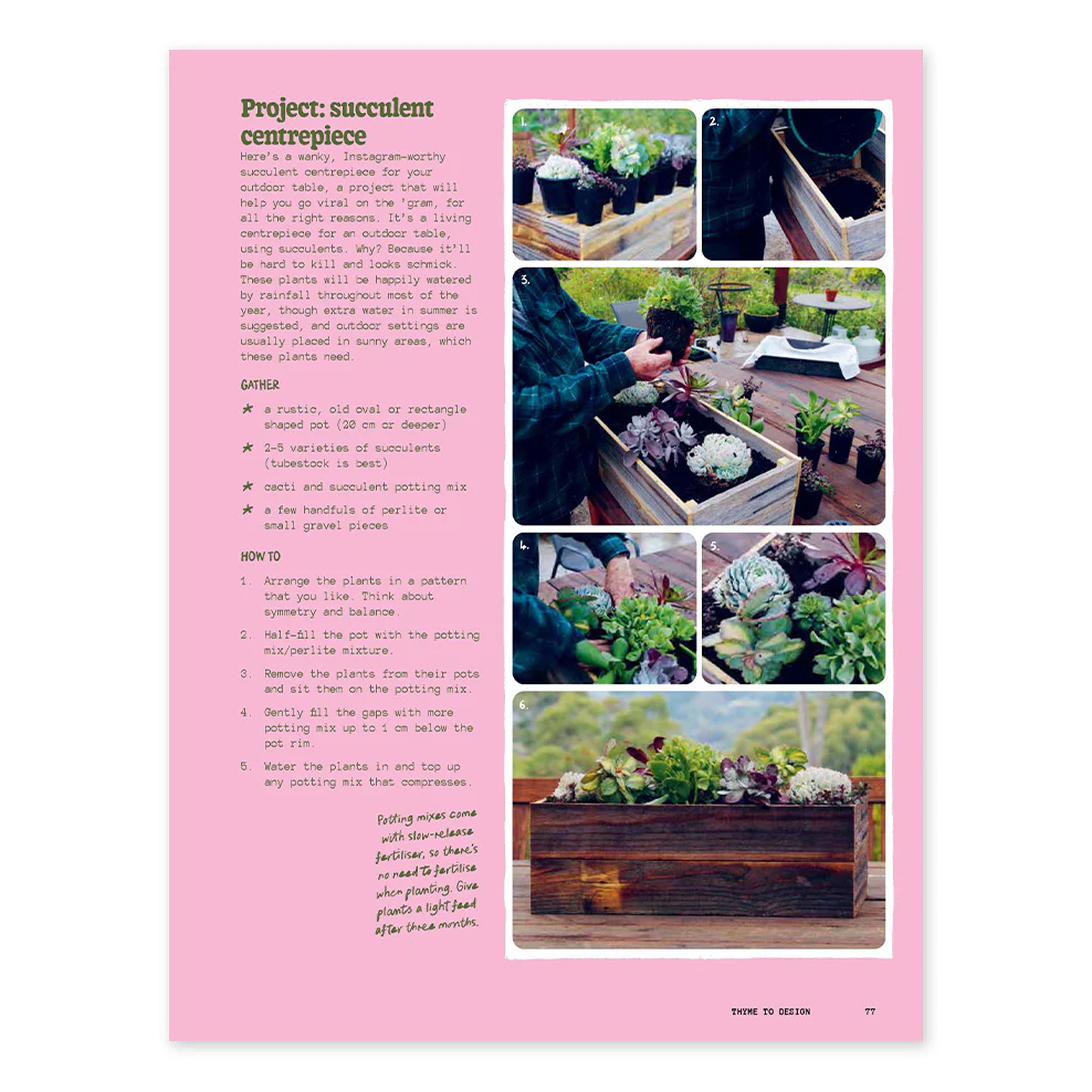 The Rookie Gardener - Image 2