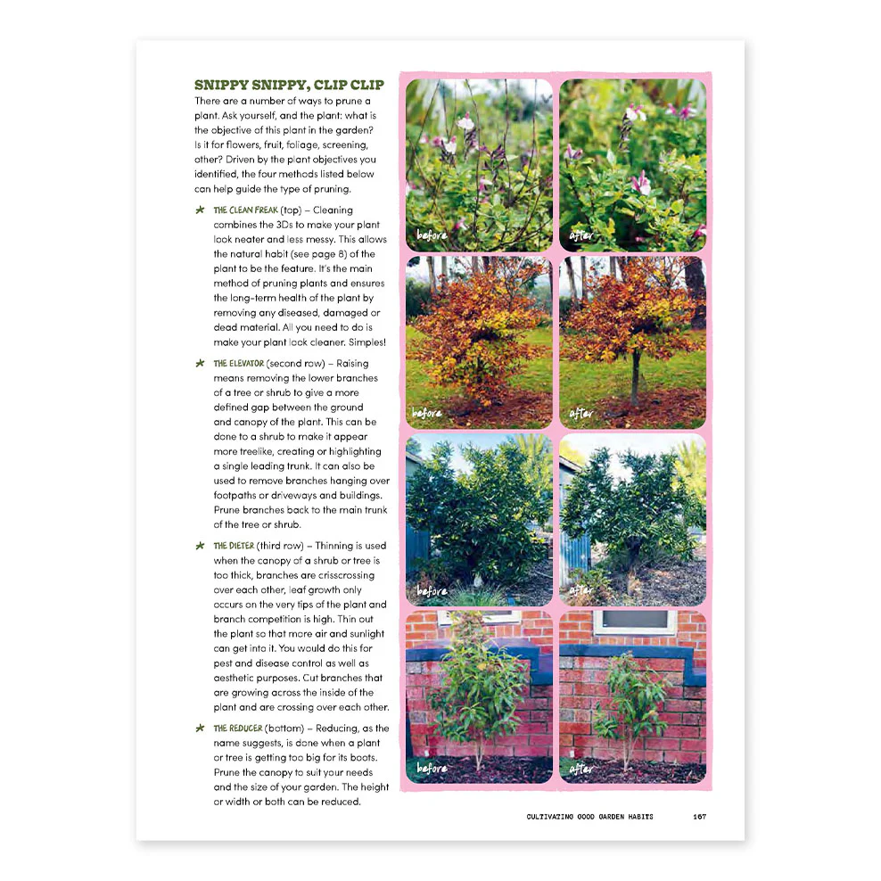 The Rookie Gardener - Image 3